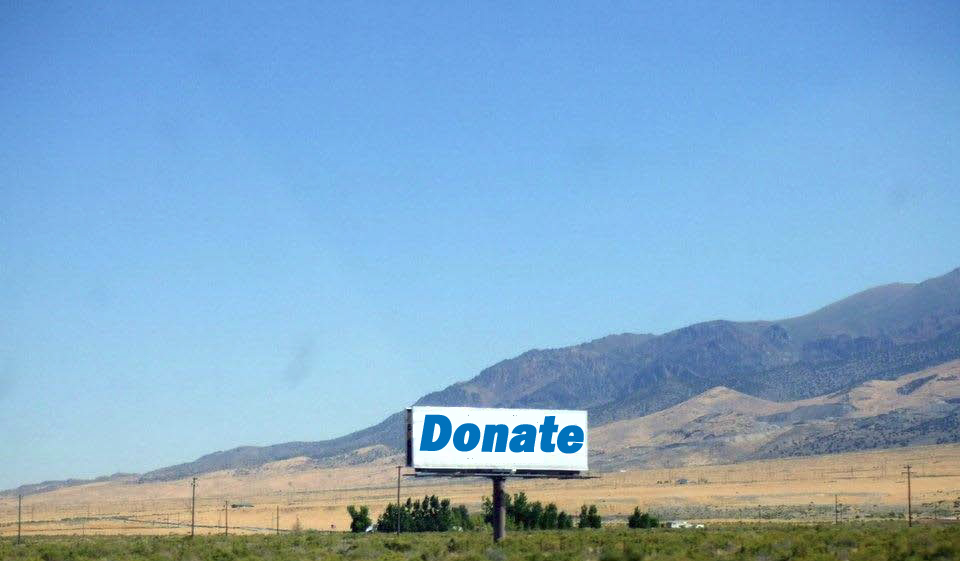 describe the image