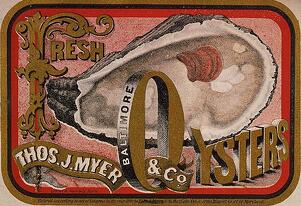 Fresh Oysters