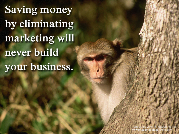 Saving Money Monkey
