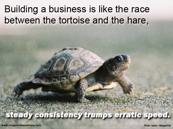 Tortoise Race