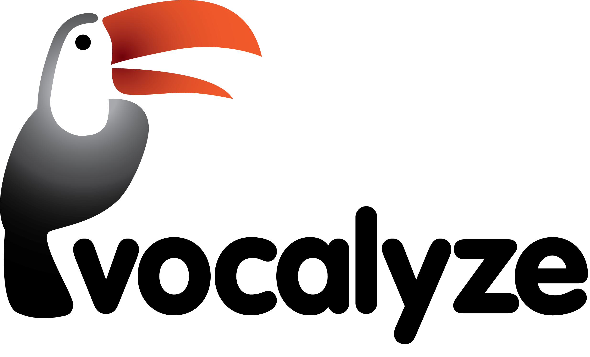 Vocalyze Logo