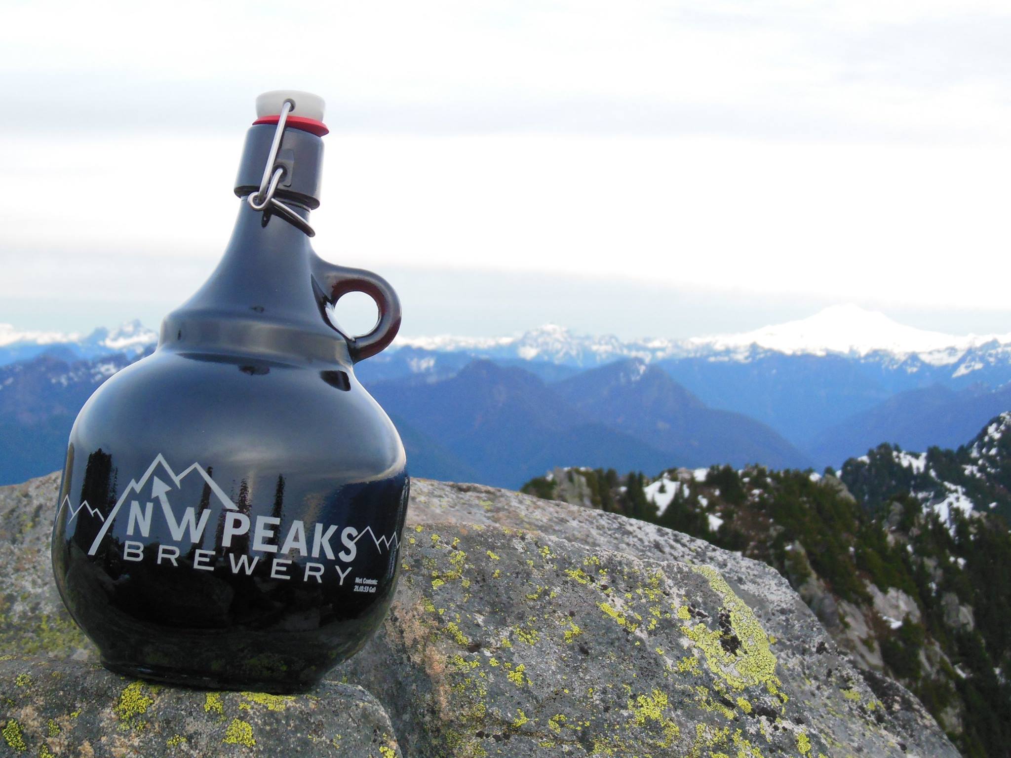 Growler-2-mountains-NW-Peaks.jpg